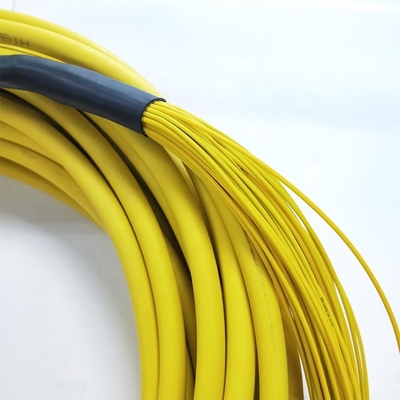 1m 2m 3m G652D 24 Core Branch SM Fc Lc Patch Cord