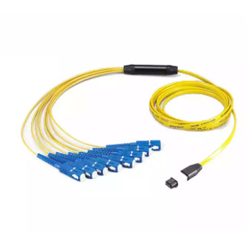 12 هسته MTP / MPO - پچ سیم SC SM در داخل جعبه ماژول استفاده شده است